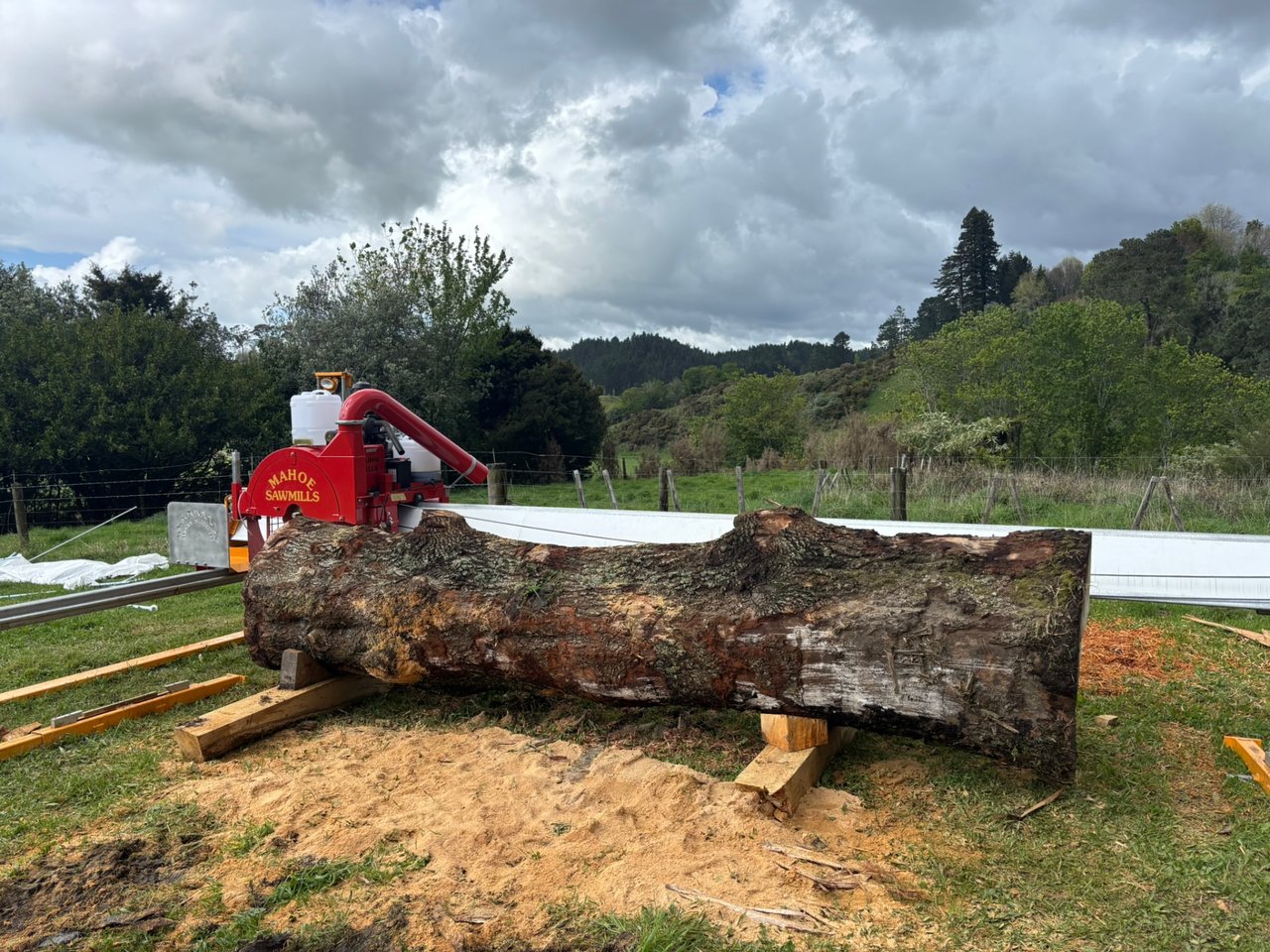 Logs at the Design Eye sawmill